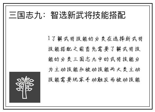 三国志九：智选新武将技能搭配